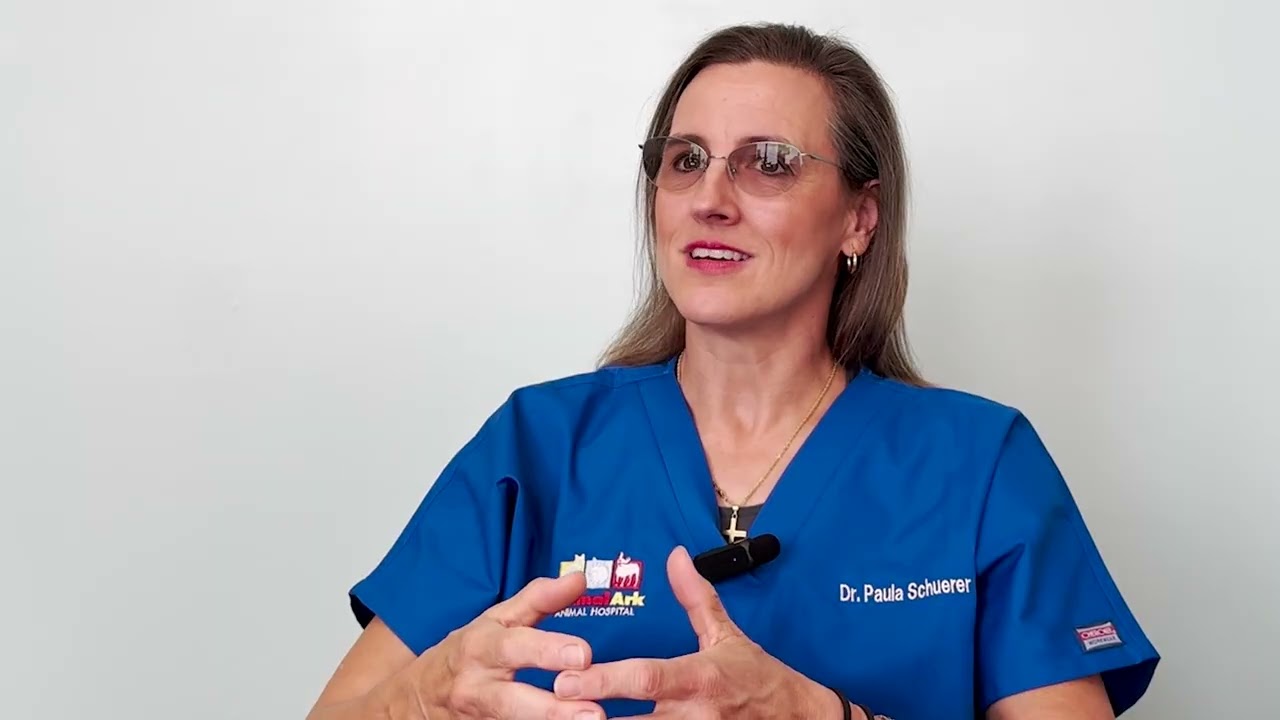 Dr  Paula Schuerer Modular Thumb Implant Story
