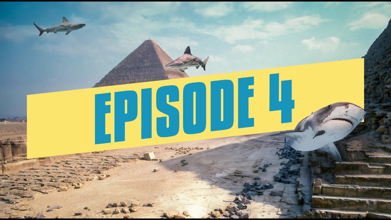 كونتري هاوس وافقت علي عرض الشارك🦈 احمد طارق مقابل 50% من الشركه يا تري  تغير معني الدهانات في مصر