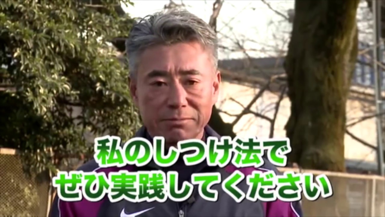 しつけの仕方で犬はどんどん賢くなる 秘密とは？