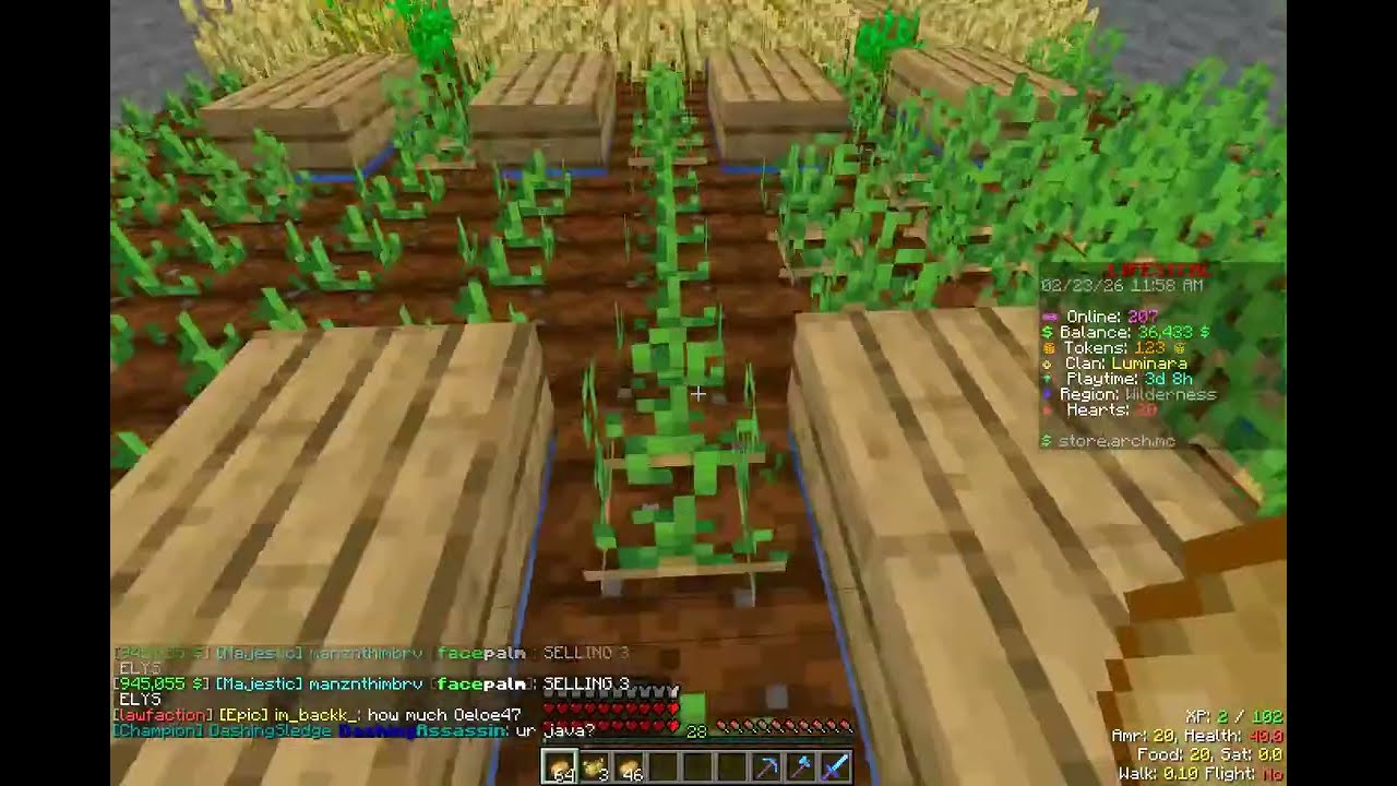 ARCH MC Lifesteal - THESE ARE OUT OF ORDER