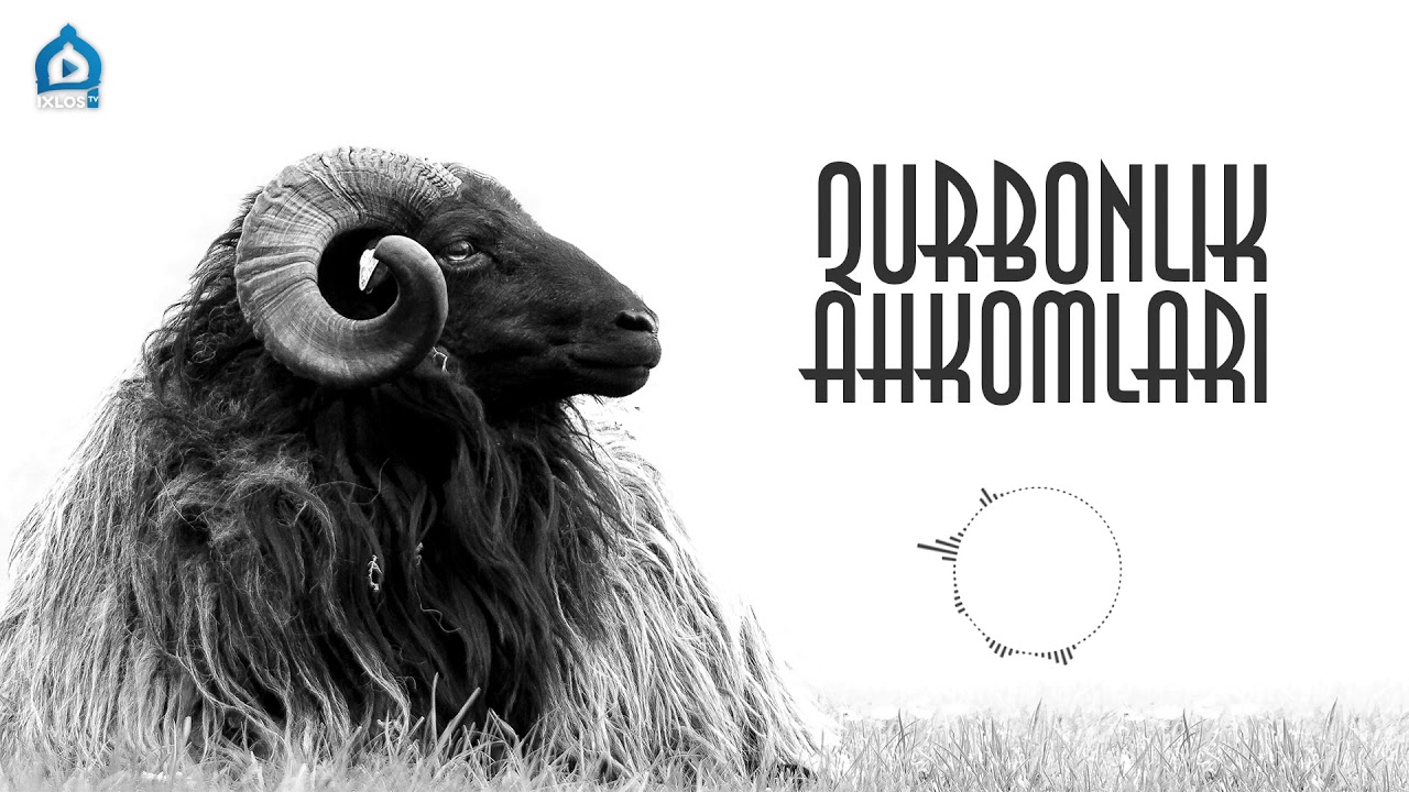 Qurbonlik ahkomlari | OVOZLI KITOB