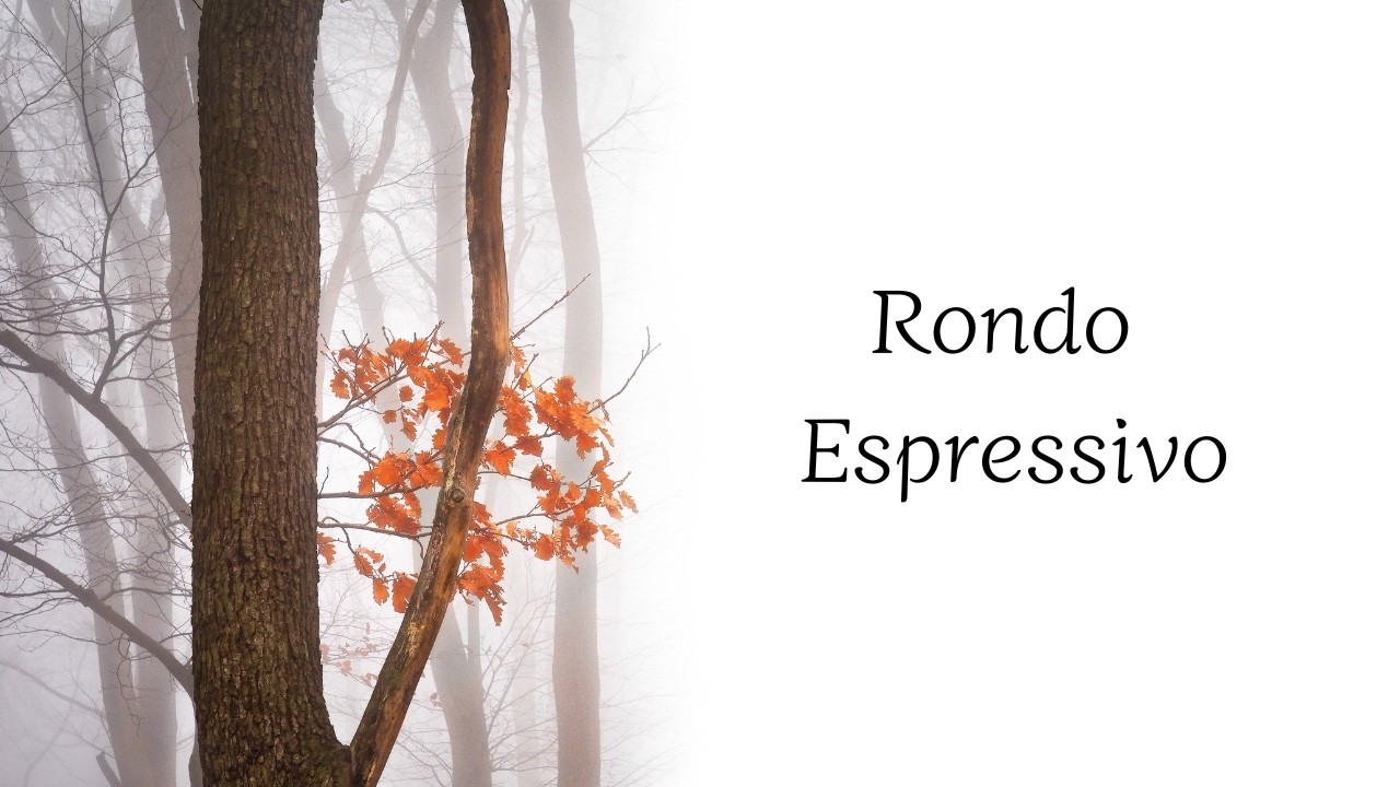 C.P.E. Bach | Rondo Espressivo(Keyboard Sonata in B minor, H.245/Wq.55/3) C.P.E.바흐 | 론도 에스프레시보