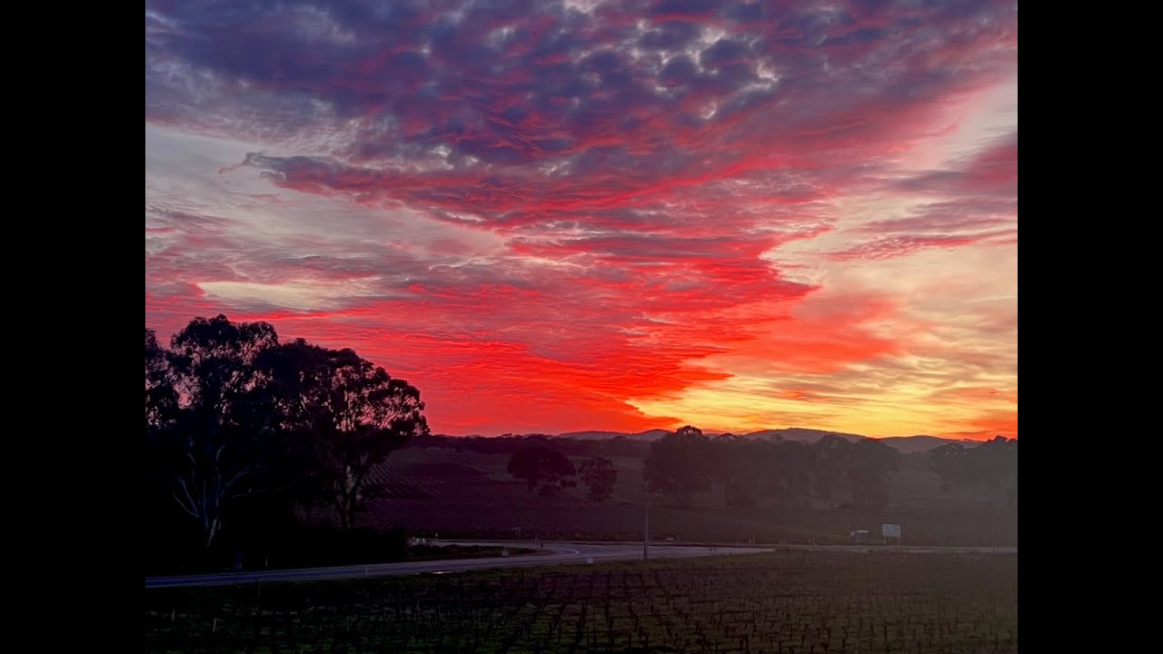 A Trip to Australia, Part 2  Wine and Kangaroos in South  Australia   (HD 1080p)