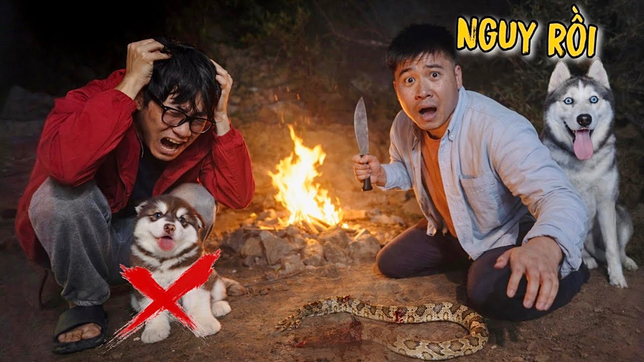 Toàn Ngơ | Chỉ Vì Tìm Chó Gấu Alaska Của Dương KC. Cả Nhóm Đã Phải Đối Mặt Với Tử Thần