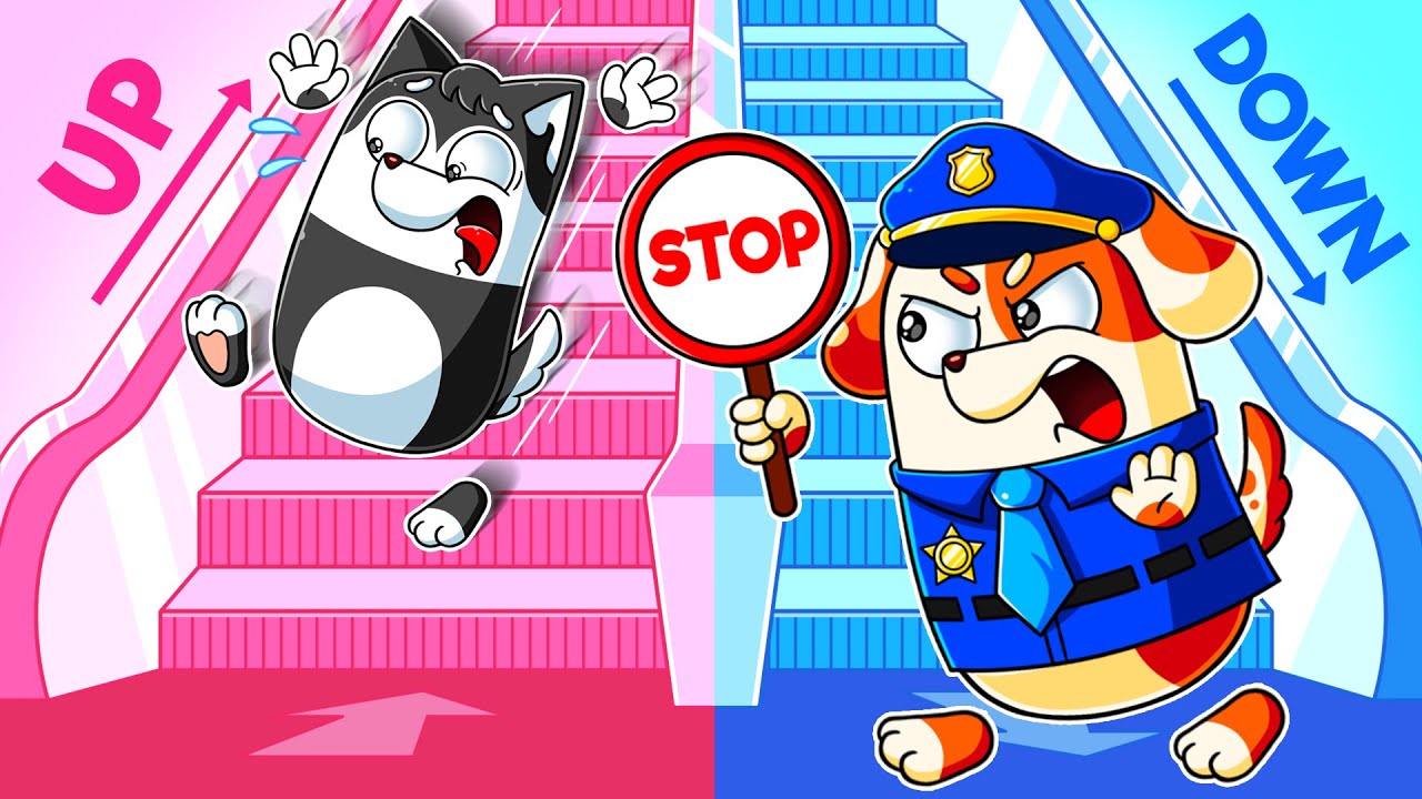 ¿Subir o Bajar 🐶 Cómo Usar la Escalera Mecánica para Niños | Dibujos Animados Infantiles | PowerPup