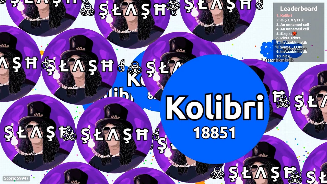 Amazing Sniper Shot! Agar.io Solo Gameplay
