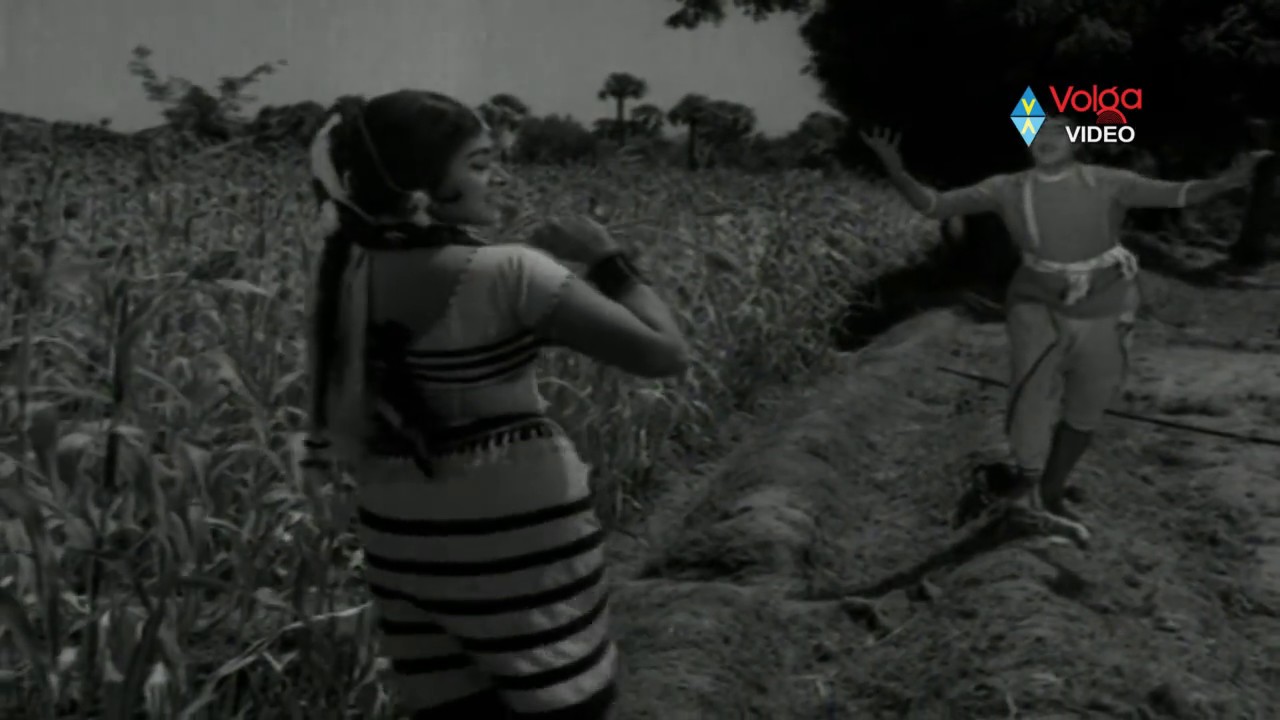 Jagath Janthreelu Songs - Paccha Jonna - Shoban Babu.