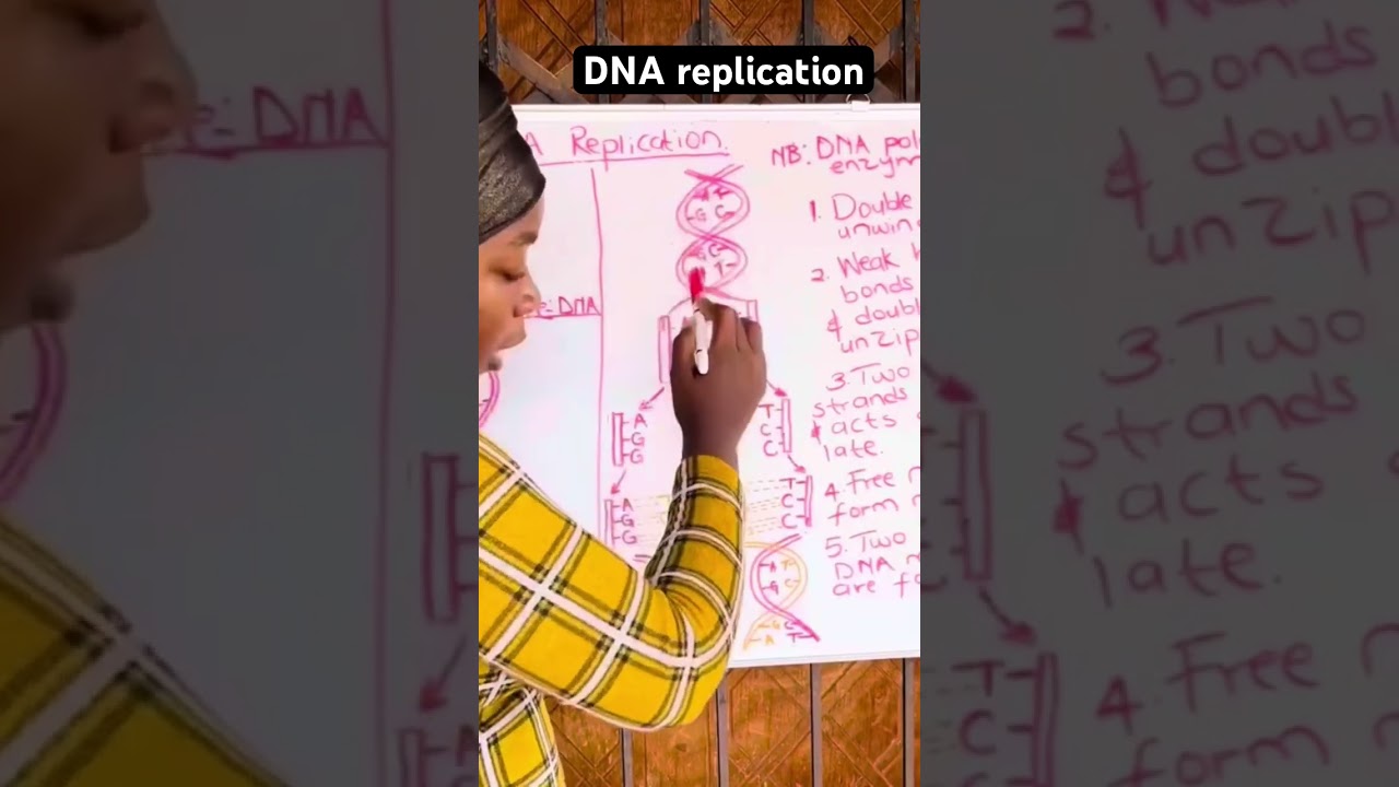 DNA replication lesson. #dnareplication #nucleicacids #biology