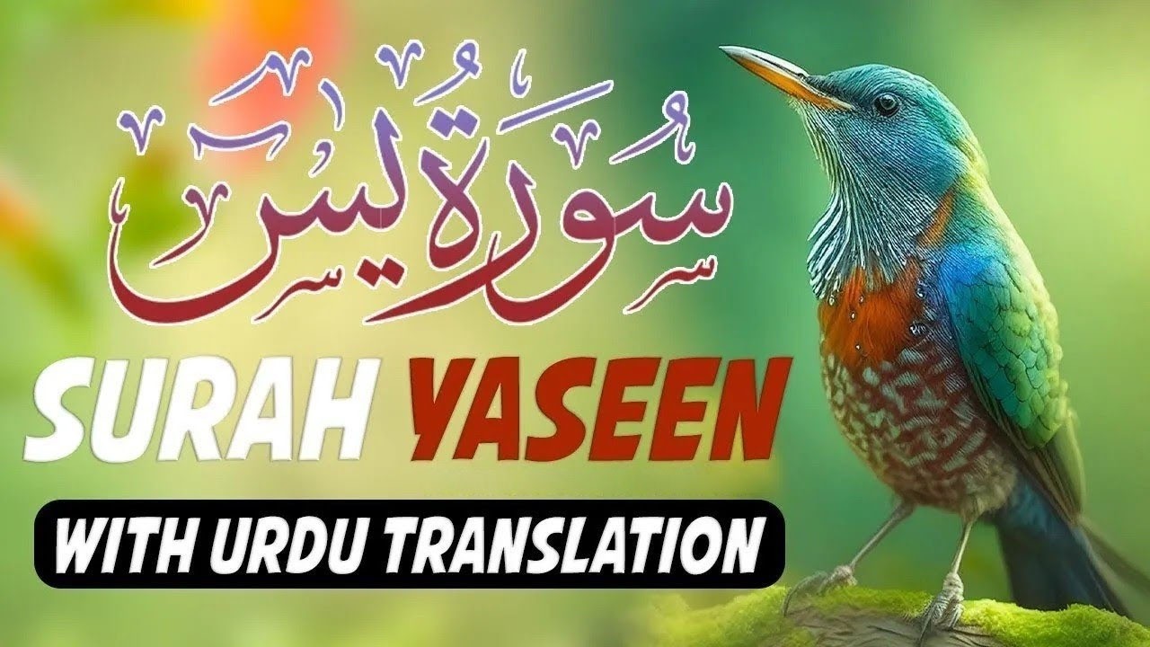 Surah Yaseen With Urdu Translation By Qari Mansoor Ghaznawi I Urdu And Hindi Tarjuma