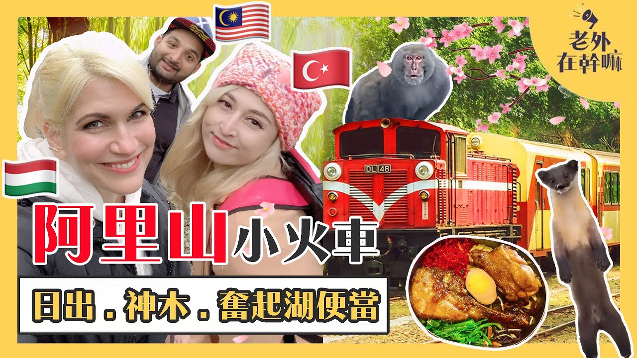 土耳其&匈牙利正妹體驗台灣阿里山！｜獨家專列火車➕限定車站美景～好好玩❤️｜ @lioncyber @SususCyclingCorner888 @tetsudojimusho @AVINTAIWAN