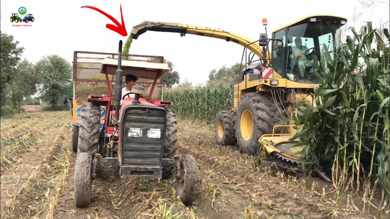 Forage Harvester New Holland FX450 More Advance Technology Silage Making For Animals
