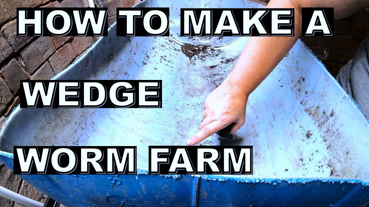 How to Start a New Wedge Style Worm Bin- European Night Crawlers