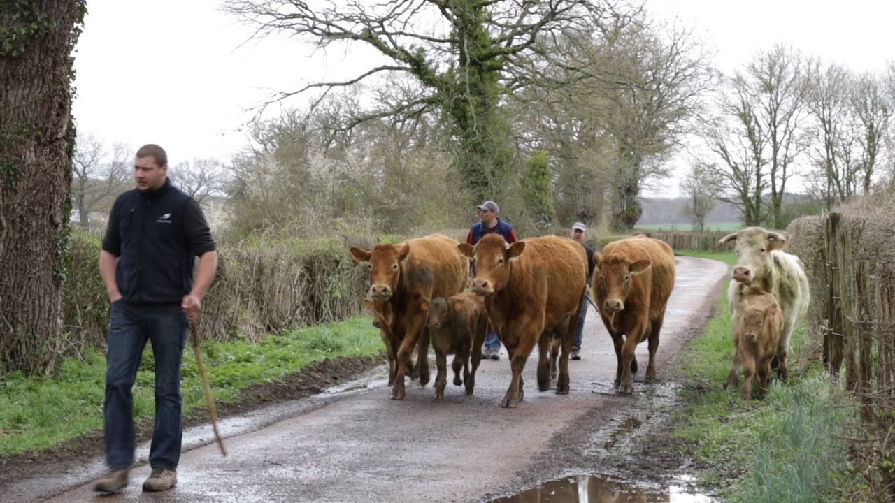 Paroles d'Agriculteur : Ferme de Come - Ne pas mettre tous ses oeufs dans le même panier !