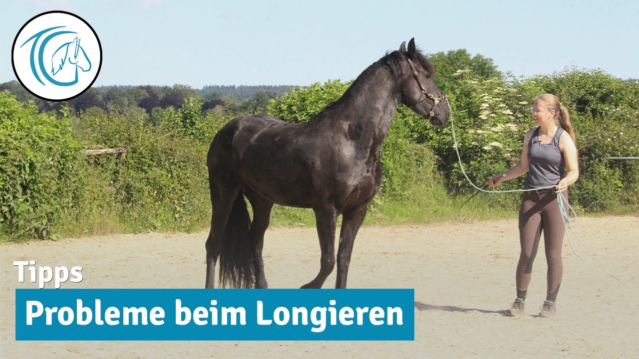 Häufige Fehler beim Longieren | Eindrehen, Reindrängen & nach außen ziehen