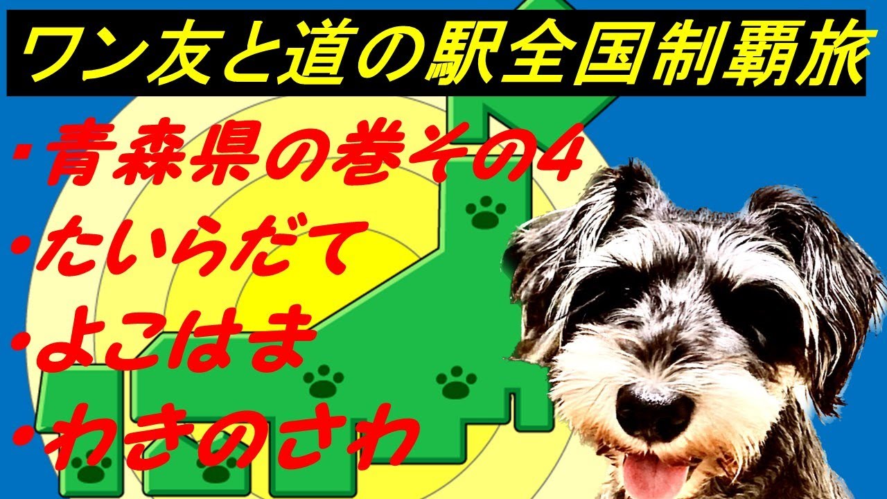 青森県の巻その4 びびりワンコと「道の駅」全国制覇達成を目指す旅チャンネル 現在878件達成済　 今回は①たいらだて②よこはま③わきのさわ、ミニチュアシュナウザー6才の女子同伴