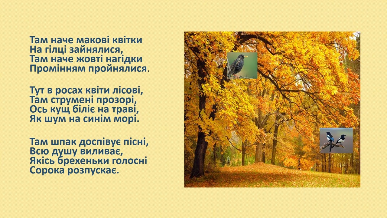 Урок літературного читання. О. Олесь «Ліс восени»