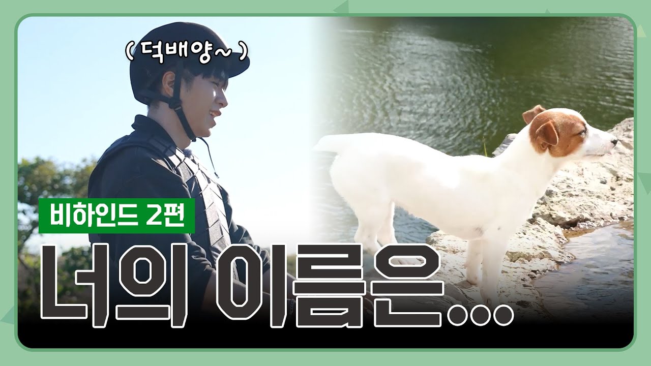너의 이름은.. 뭐야..? 🌿 I 엇때의숲 비하인드 2편 [EN/JP/TW/ID/HI]