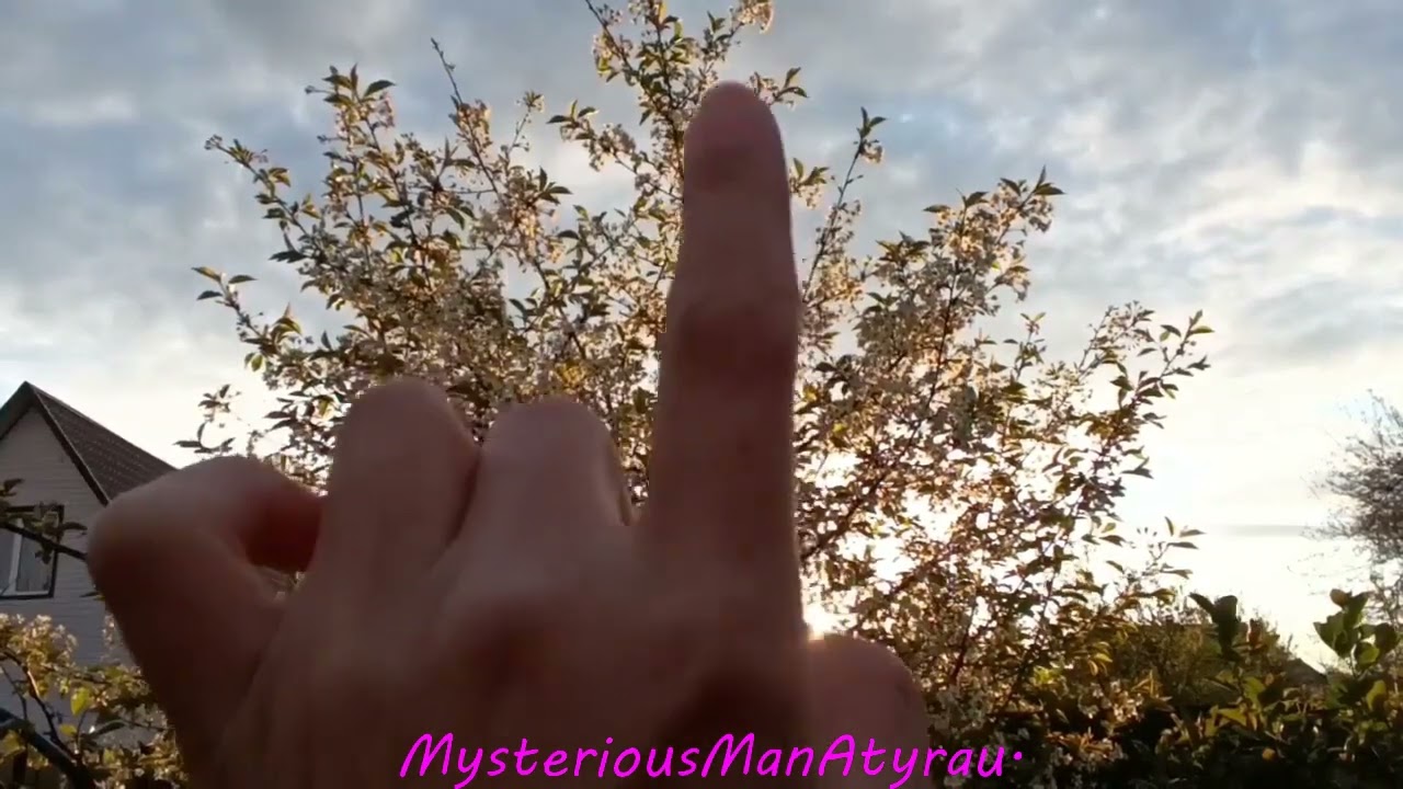 ASMR