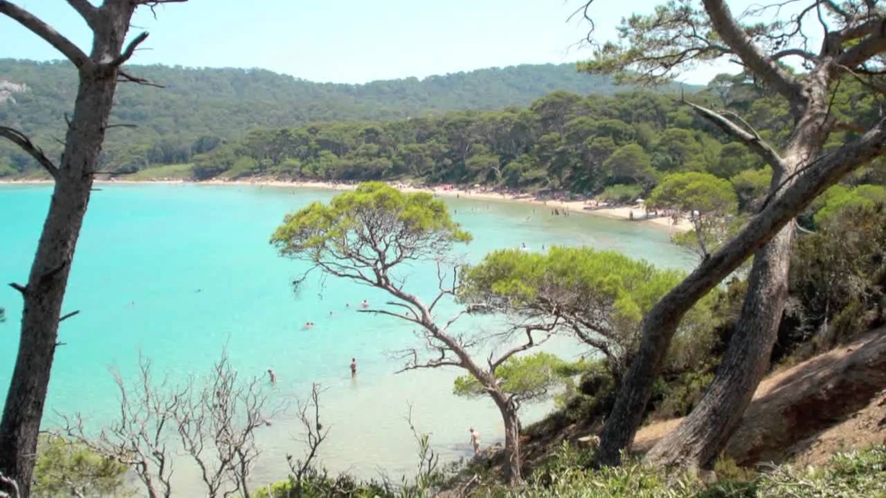 Ile  de Porquerolles  - Provence-Alpes-Côte d'Azur -  France