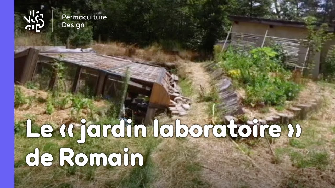 Un permaculteur, Un jardin : les expérimentations de Romain dans son « jardin-labo »