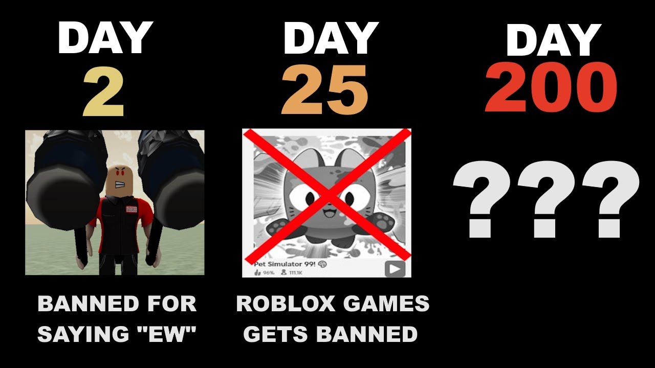 If Roblox have a very strict moderation (Timeline)