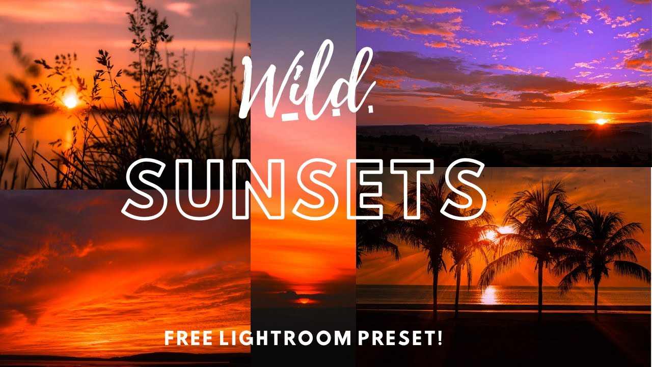 Wild Sunsets Free lightroom DNG Mobile Preset | How to Edit