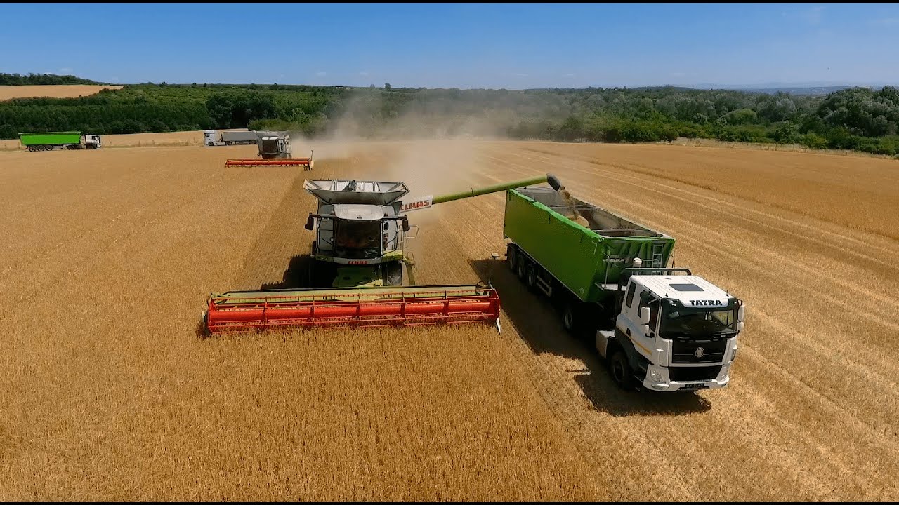 Barley Harvest Agro Měřín CZ Mikulov 2025