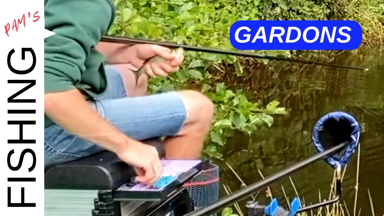➣ PECHE AU COUP Installation et Quelques GARDONS | FISHING PAMS chez carpodromefr