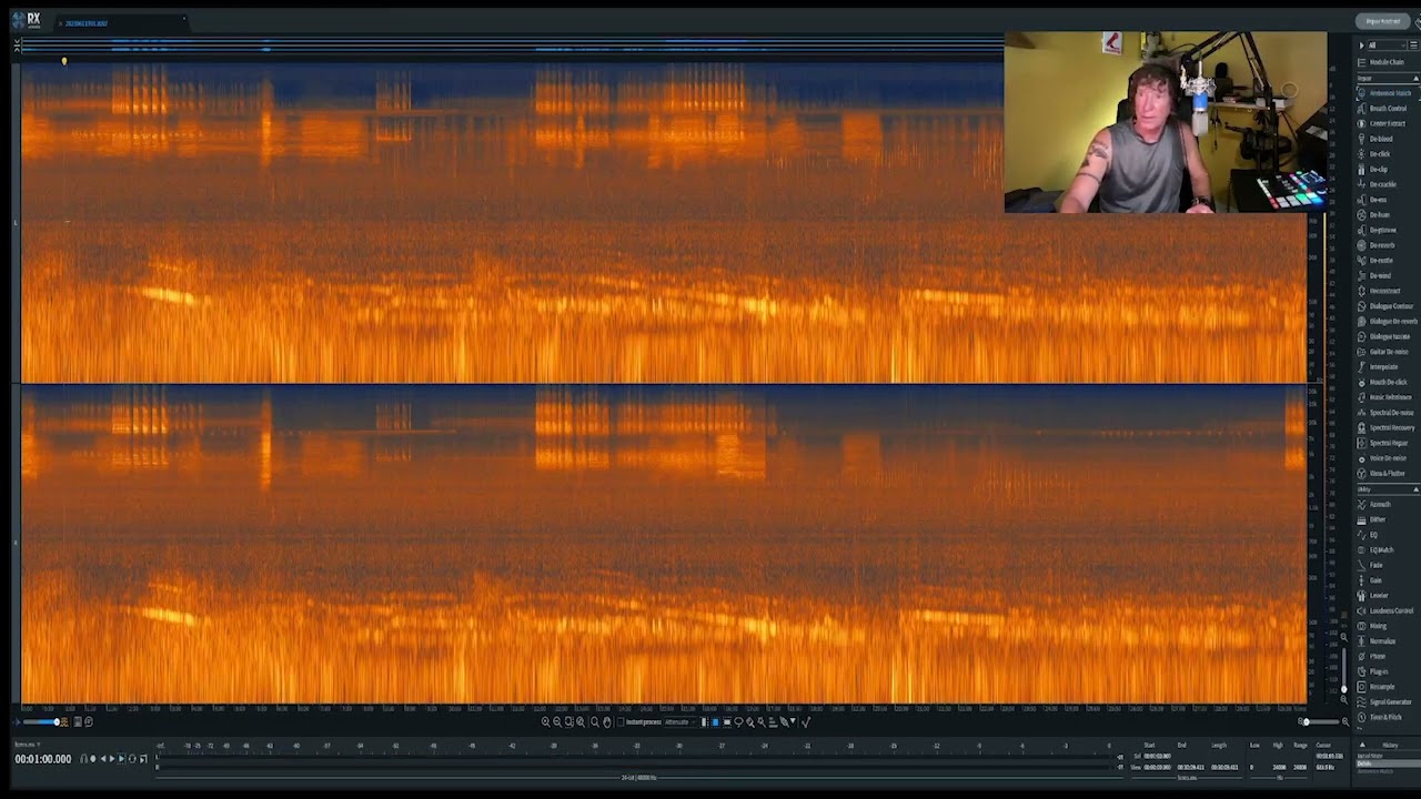 Izotope RX10 basic editing for Nature Recording