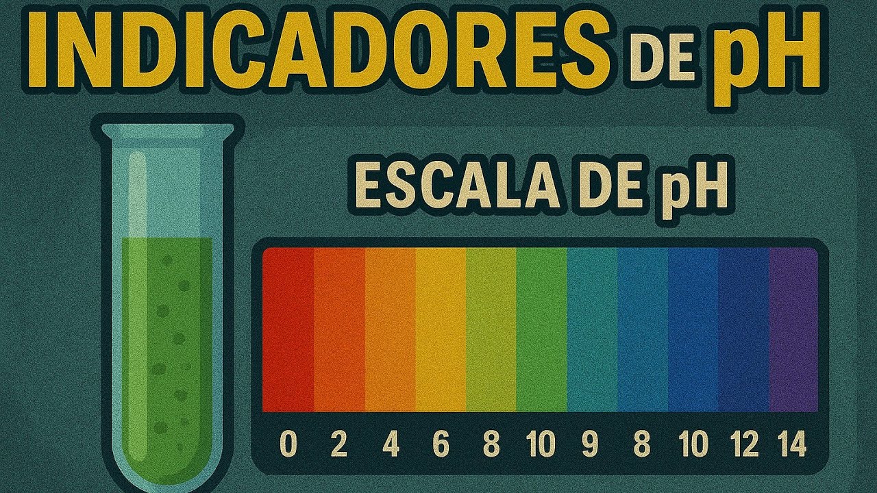 2.4.3 Indicadores y PH