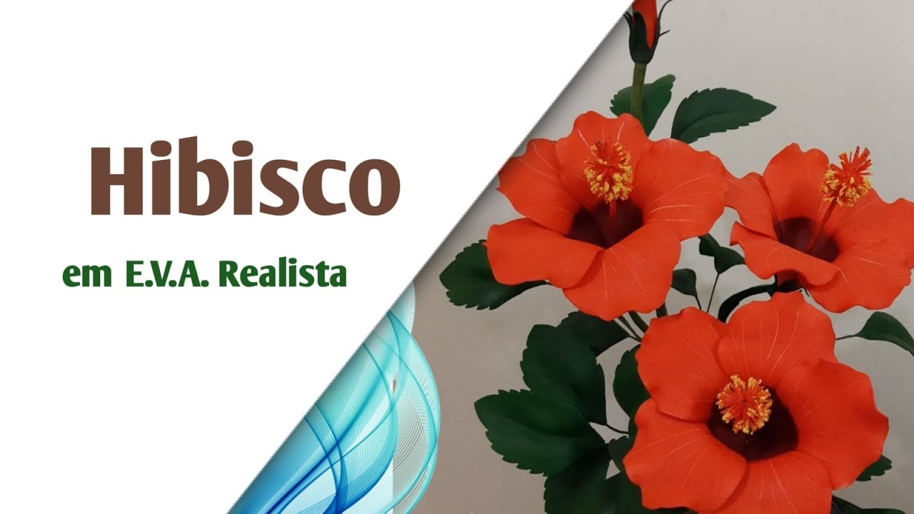 157 - Flor do Hibisco - Prof Jociara Santos