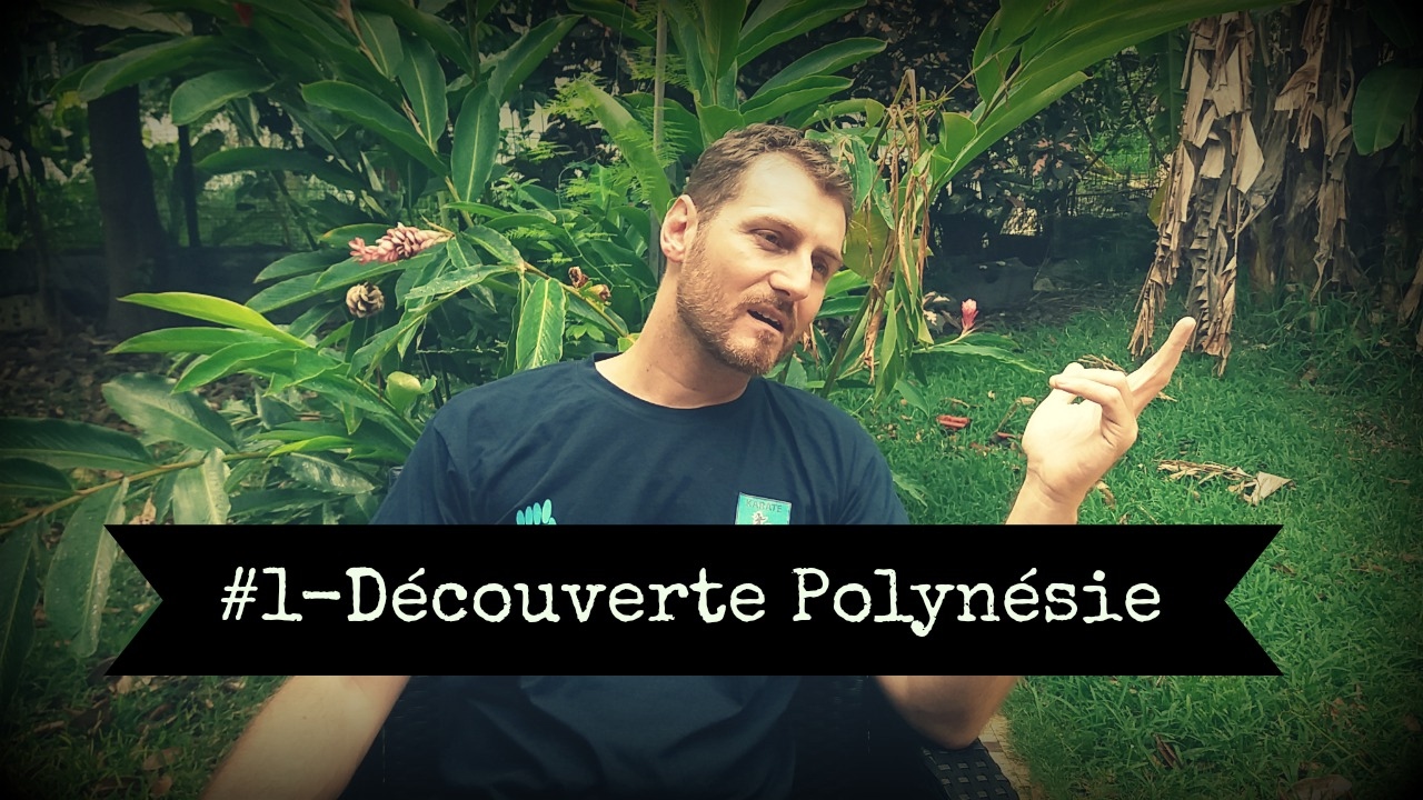 #1- Découverte Polynésie (Marché de Papeete)