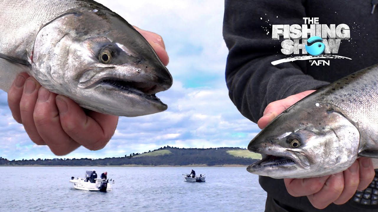 Downrigging for Tiger Trout in an Extinct Volcano