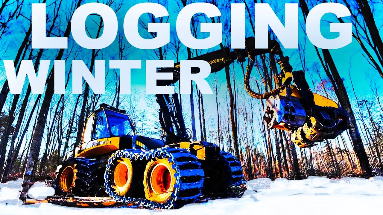 LOGGING HARDWOODS in MICHIGAN U.P. WINTER 2025 with a PONSSE ERGO PROCESSOR!