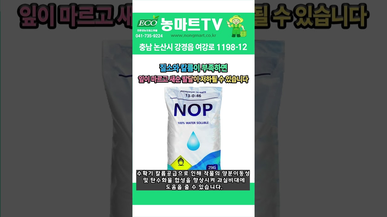 생육 초기부터 비대기까지! 질산칼륨