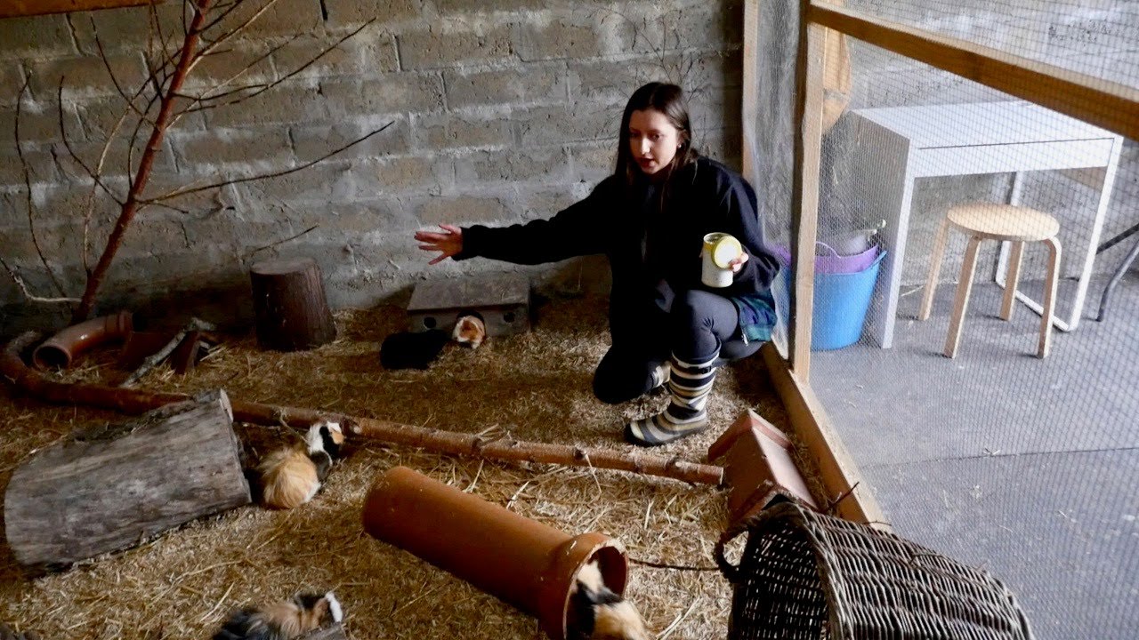 Guinea Pig Home Tour | March 2020