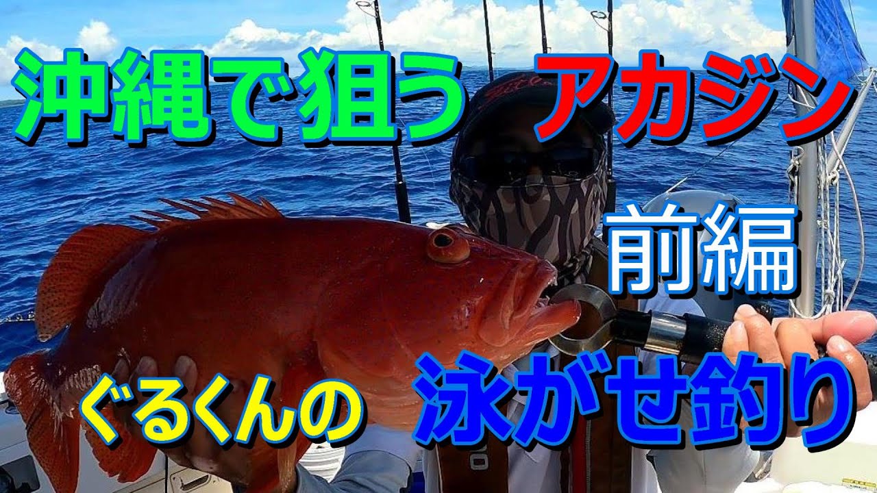 沖縄で狙うアカジン　ぐるくんの泳がせ釣り　前編