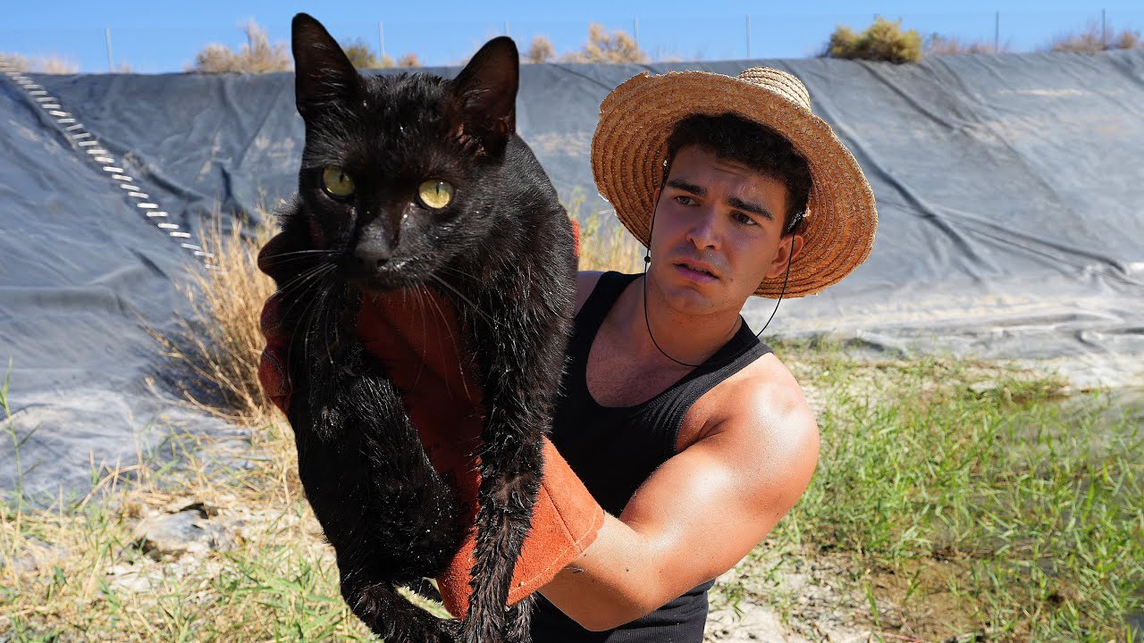 El Coraz&oacute;n se nos Detuvo al Encontrar a este Gato Atrapado&hellip;