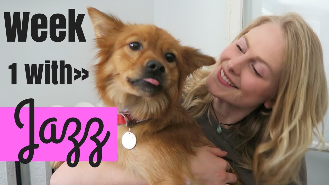 My FOSTER DOG'S First Week | What it's Like to Foster a Dog