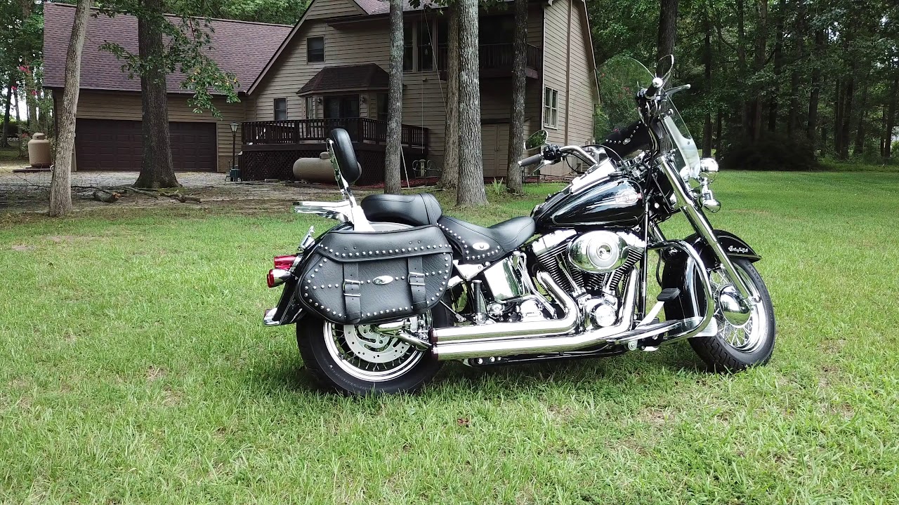 Harley Rumble