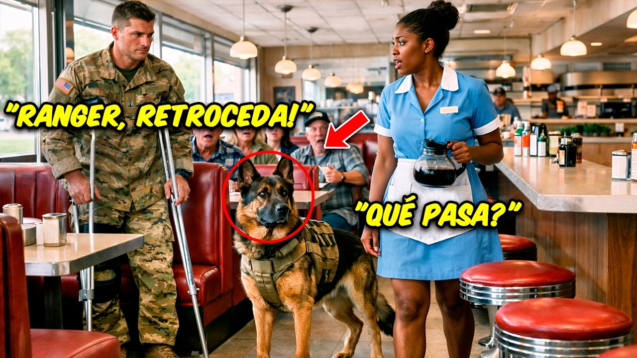 “¿PUEDO SENTARME AQUÍ?“ NAVY SEAL DISCAPACITADO PREGUNTA — SU K9 PARALIZA TODO EL RESTAURANTE