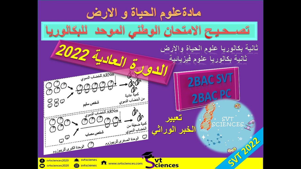 تصحيح الامتحان الوطني لمادة علوم الحياة و الأرض الدورة العادية 2022 تمرين  تعبير الخبر الوراثي