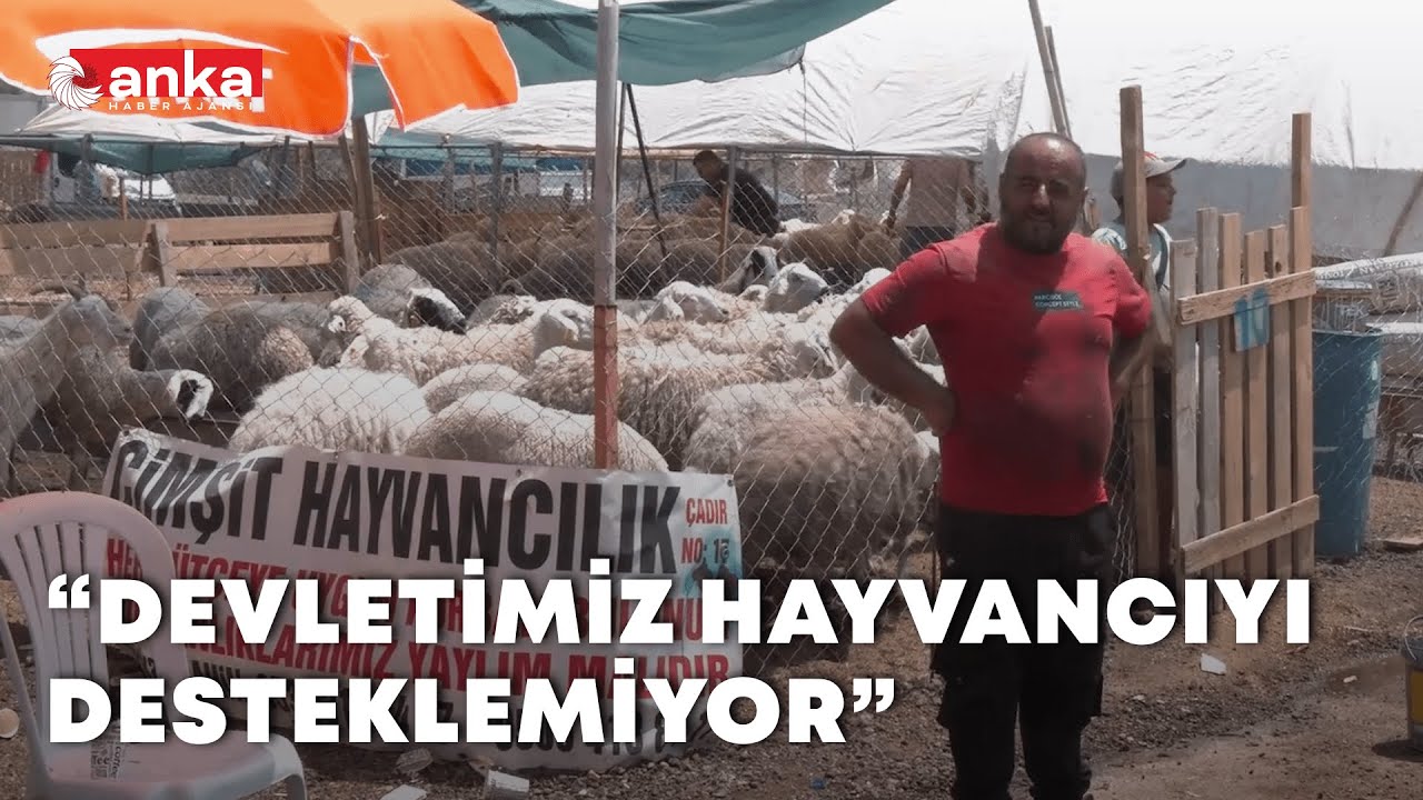 Kurban pazarında besici dertli | 