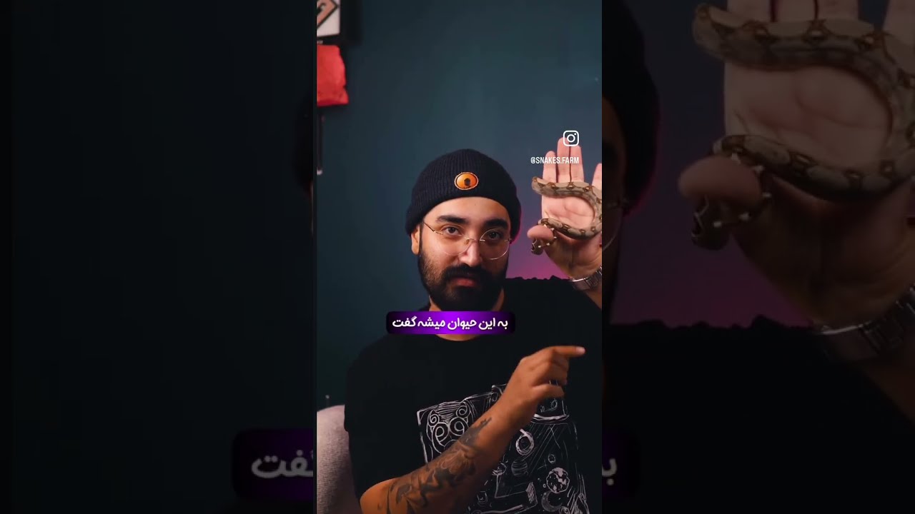 باهوش تزین مار دنیا بوا ویدیو بلند رو هم بینید #بوآ #مار