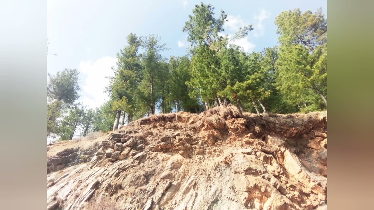 This Place is Magical! ✨ Murree to Ayubia  ⛰️🌲#ayubia #viralvideo