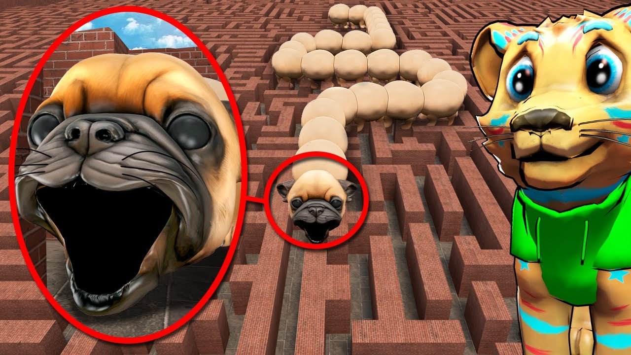 HUNGRY PIBBLE WORM IN A MAZE... (Gmod Sandbox)