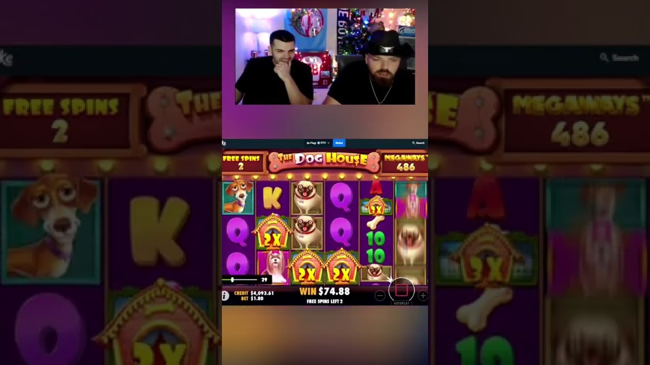 Insane Dog House Megaways bonus!