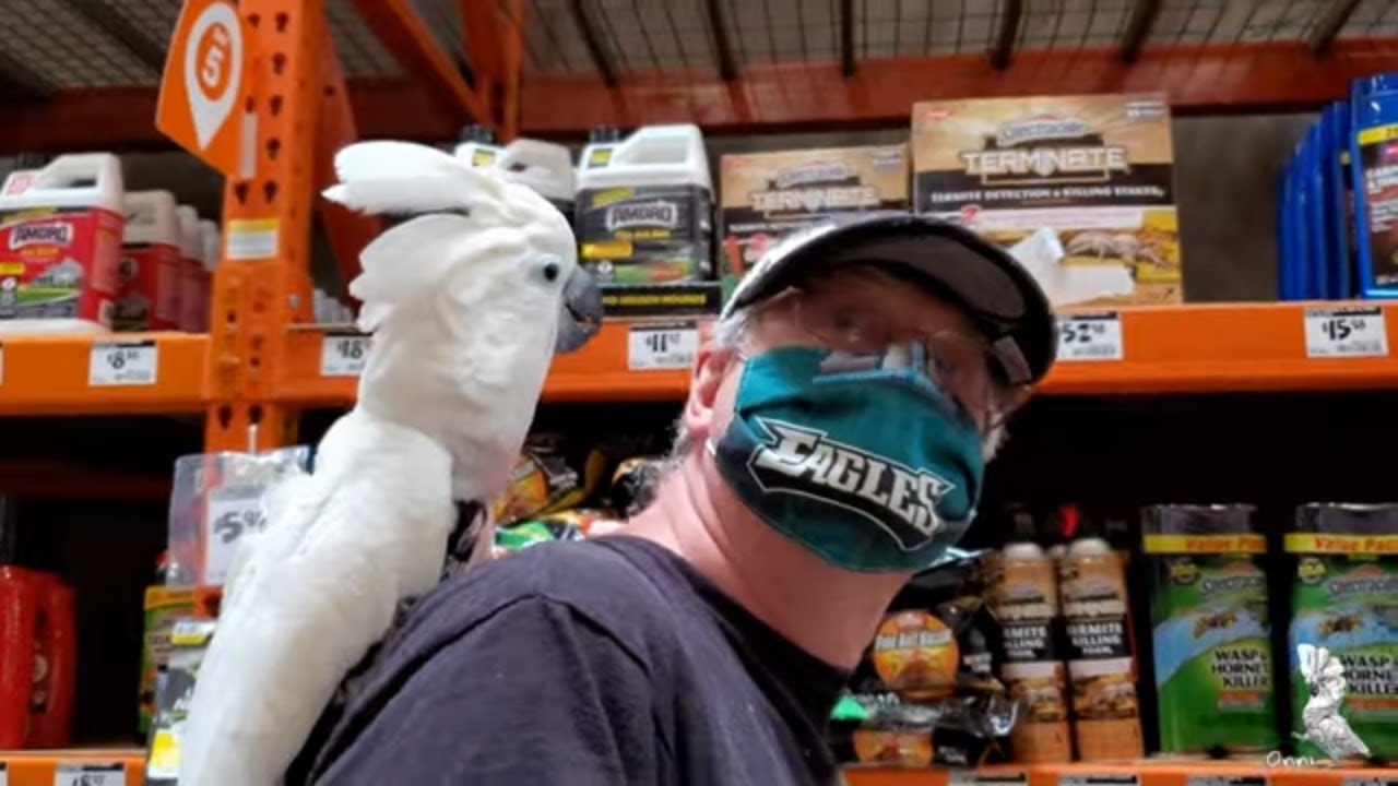 Cute Little Trip With Onni (Birdy VLOG)