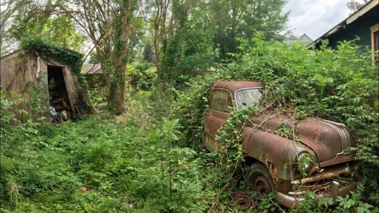 Kind HEARTED Guys Offer Free Cleanup of Neglected YARDS and the Results Are Incredibly SATISFYING!