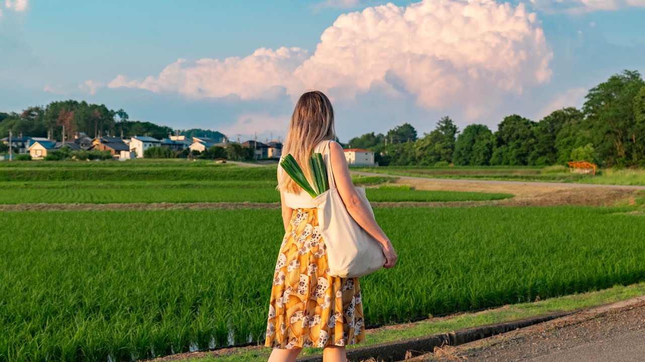 How Much We Spend Living in Japan's Countryside